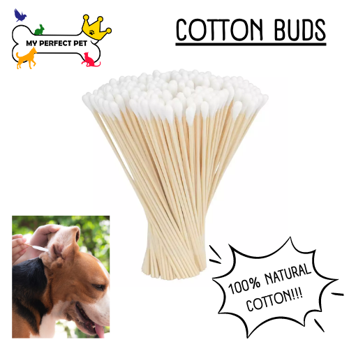 Cotton Buds for Cleaning Animal Ears (100-Pack)