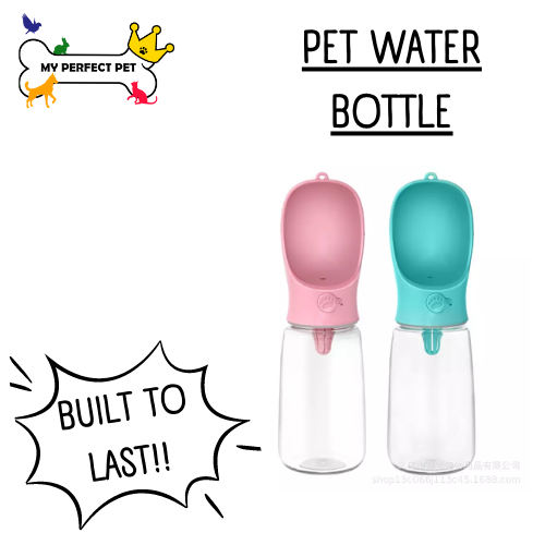 Cat Water Bottle