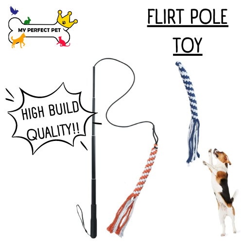 Dog Flirt Pole Toy, Interactive Teaser Wand for Dogs Tug of War