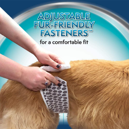 Disposable Dog Diapers for Males